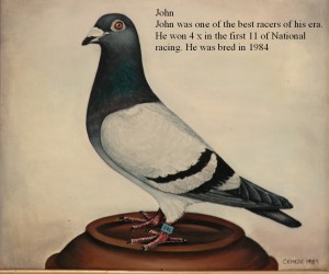 John Champion racer and breeder